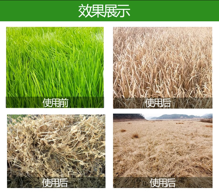 正品草甘膦除草烂根剂一扫光农药草甘磷异丙铵盐果园杂草除草剂-图3