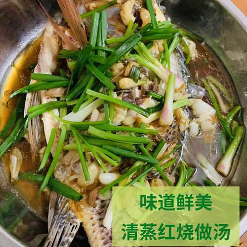 新鲜罗非鱼1斤福寿鱼无刺非洲鲫万绿湖活宰河源土货发顺丰 - 图1