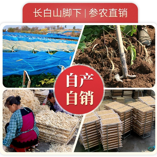 长白山 Остаток женьшеня, первокурсник женьшень, белый женьшень 500 г газированного вина, лекарство без добычи, без сельскохозяйственных остатков