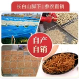 Красный женьшень 500G женьшень суми Чангбай гора красный женьшень сухой женьшень потирать чай пузырь с женьшень.