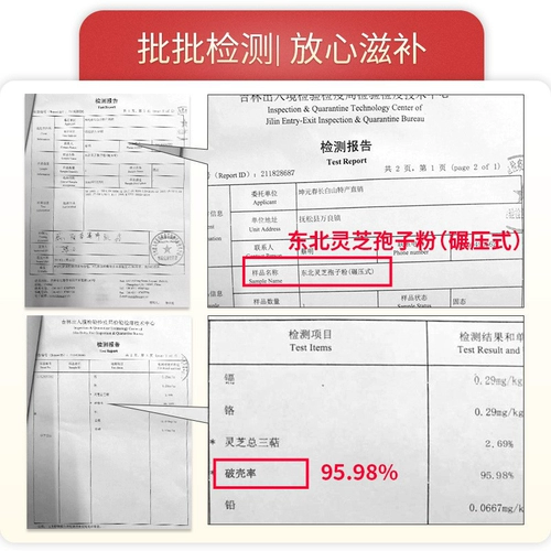 Порошок гальки из горы Ганодермы порошок Чангбай Горная Горная Голова подлинная фермерская ферма 500G -объемный объем 椴