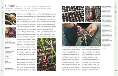 英文原版 绿荫花园 Monty Don 园艺智慧 园丁指南 The Complete Gardener DK生活百科  园艺设计 盆栽养植 - 图2