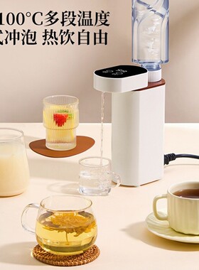 110v伏即热式饮水机迷你中国台湾美国便携式旅游瞬热小型美规日本