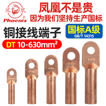 Phoenix DT National Label A grade copper wiring terminal copper nose red copper connector wire nose direct headline ear 10 squared