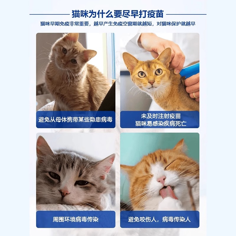 道格队长国产进口幼猫疫苗套装猫三联狂犬猫防猫鼻支每只带码,淘宝优惠券,粉丝福利购,淘宝优惠卷