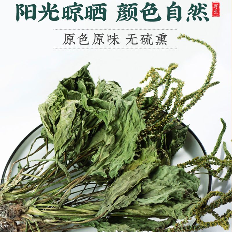 广东车前草野生泡茶整株全草新鲜无硫清热干泡水喝车前草茶车前草 - 图1