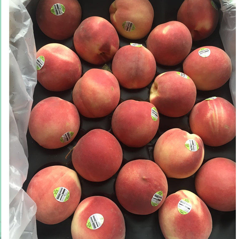 现货空运澳洲进口水蜜桃毛桃新鲜水果桃子公主桃时令新鲜水果桃子,淘宝优惠券,粉丝福利购,淘宝优惠卷