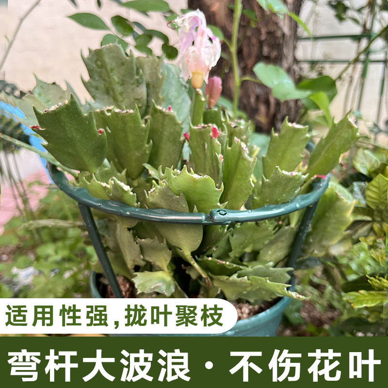 兰花架子绿萝多肉盆栽护叶架阳台植物支撑架蟹爪兰专用固定花支架,淘宝优惠券,粉丝福利购,淘宝优惠卷