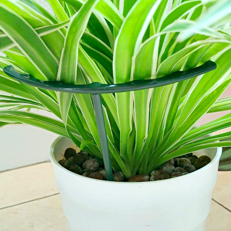 兰花架子绿萝多肉盆栽护叶架阳台植物支撑架蟹爪兰专用固定花支架,淘宝优惠券,粉丝福利购,淘宝优惠卷