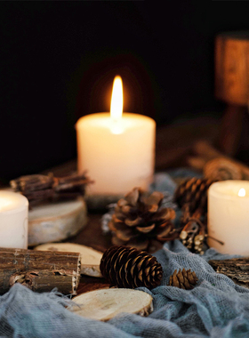 自然风干植物果实摆件树枝小道具