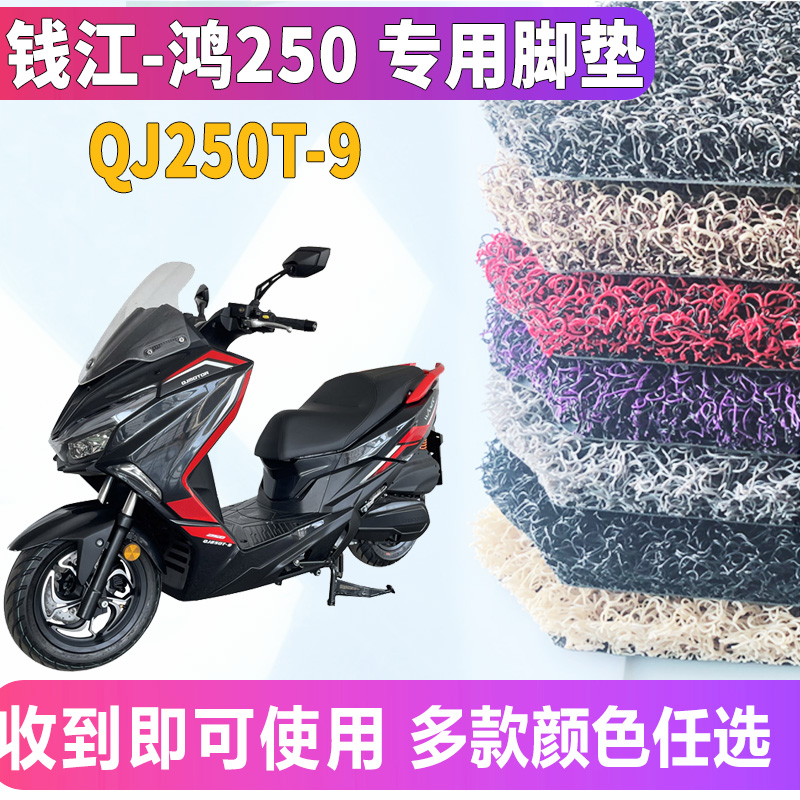 适用于钱江摩托车新款鸿250平踏摩托车专用丝圈脚垫踩垫QJ250T-9 - 图0