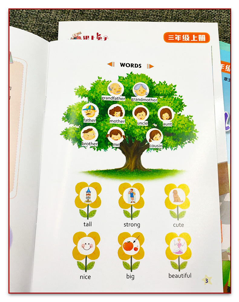 跟上兔子小学英语分级绘本三年级 3年级上册下册全套8本省级教育课题研究成果新华正版译林出版社快乐英语阅读译林英语抄写本-图3