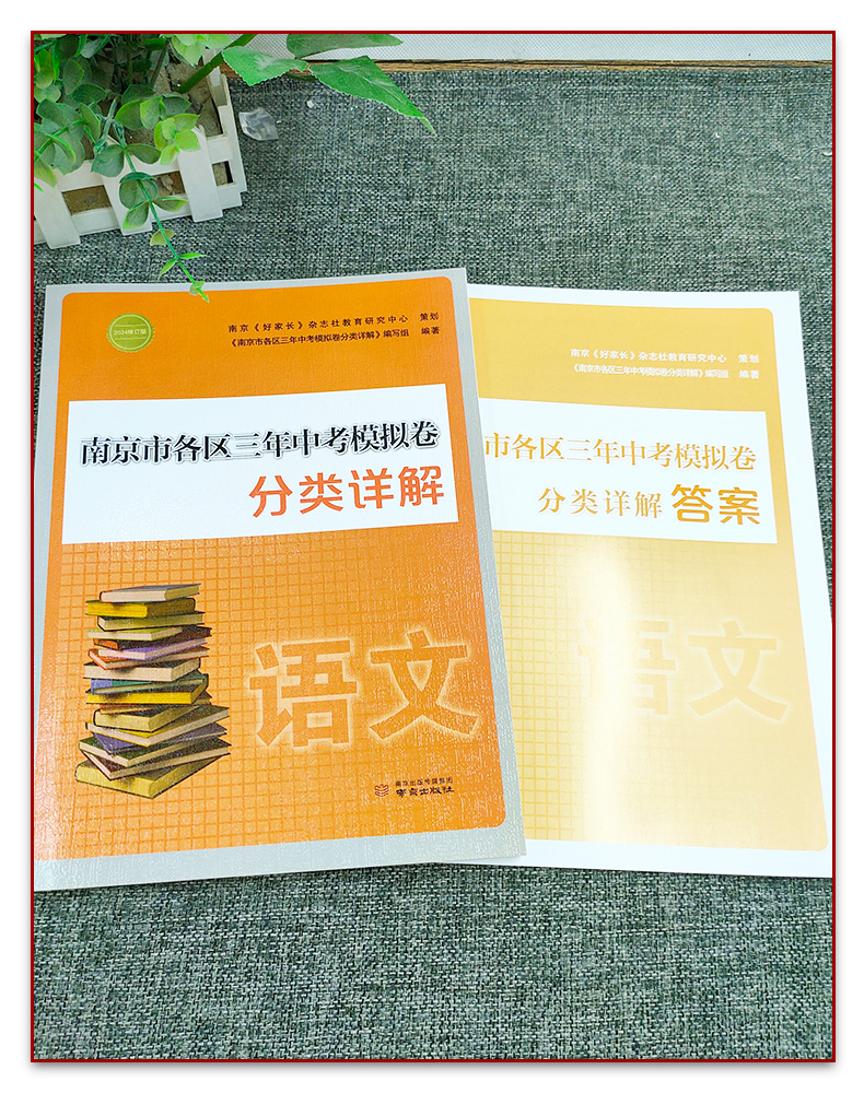 2024年中考真题卷南京市各区三年中考模拟卷分类详解语文 好家长杂志冲刺中考语文真题阅读训练试卷集 中考基础知识复习辅导资料书 - 图0