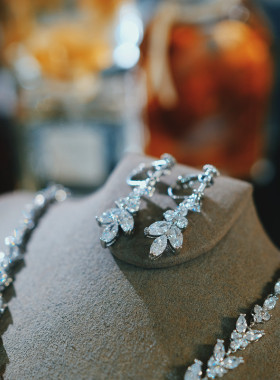 晚礼服抹胸一字肩项链耳夹配饰