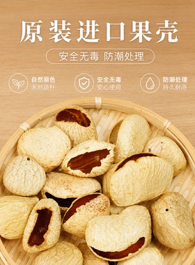 云南DIY果壳料黑果夹竹桃菩提籽