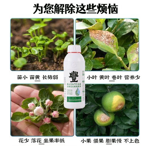 一喷绿稀土聚天门冬氨酸果树氨基酸叶面肥水溶肥锌硼钾钙镁铁微肥 - 图2