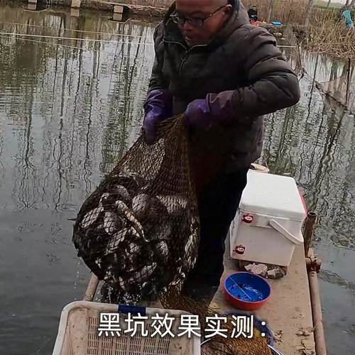 鲫王、复合果奶、加快诱鱼、延长留鱼时长、主攻鲫鱼、野钓休闲 - 图2