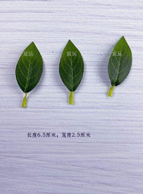 仿真葫芦叶玫瑰叶柠檬叶