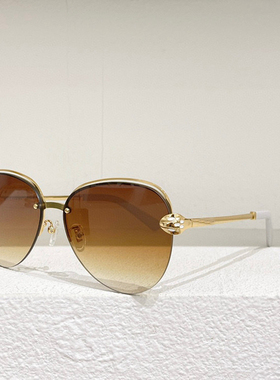 墨镜旅行拍照遮阳百搭情侣男女