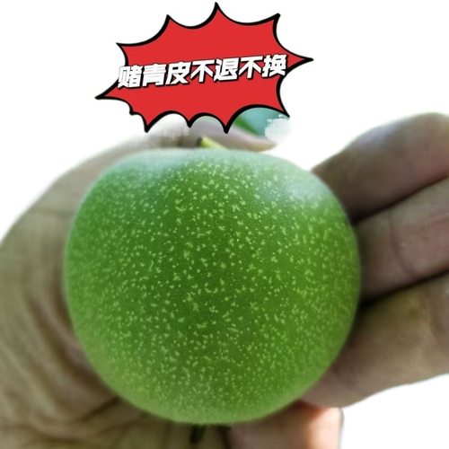 青皮文玩核桃带皮手盘核桃狮子头官帽白狮子四座楼蛤蟆头赌青皮 - 图3