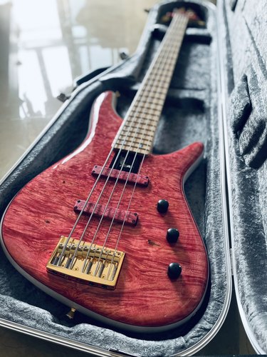 【已售】Sugi NB5M Bass贝斯 Maple Burl贴面擦色主题“赤樱”-图0