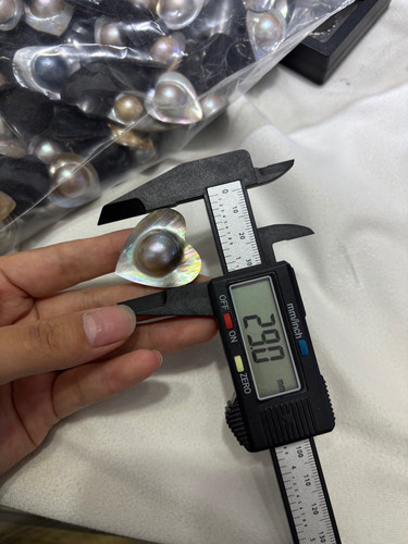 链接下单随机发，直播可选货，爱心荷包蛋海水 - 图0