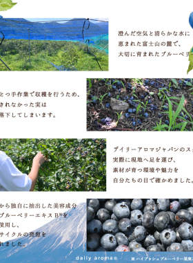 富士山限定蓝莓！日本Biken美健daily aroma保湿护手霜20g