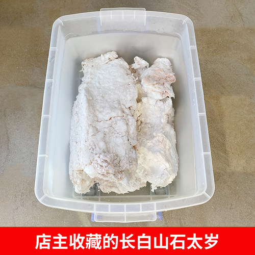 【10年太岁老店】长白山野生千年石太岁肉灵芝非陕西货不掉渣50g - 图2