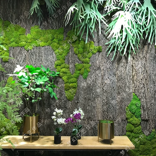 Натуральная настоящая кора пробелка кора шампанского ползание питомца для любимой рыбы ландшафтное украшение