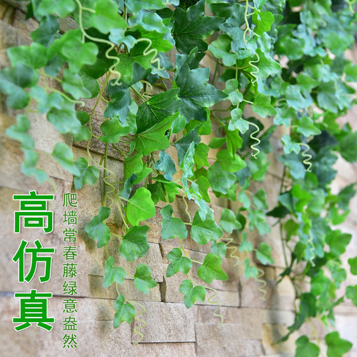 仿真常春藤假花藤条装饰绿植缠绕绿叶树叶管道塑料花藤蔓植物吊顶 - 图0