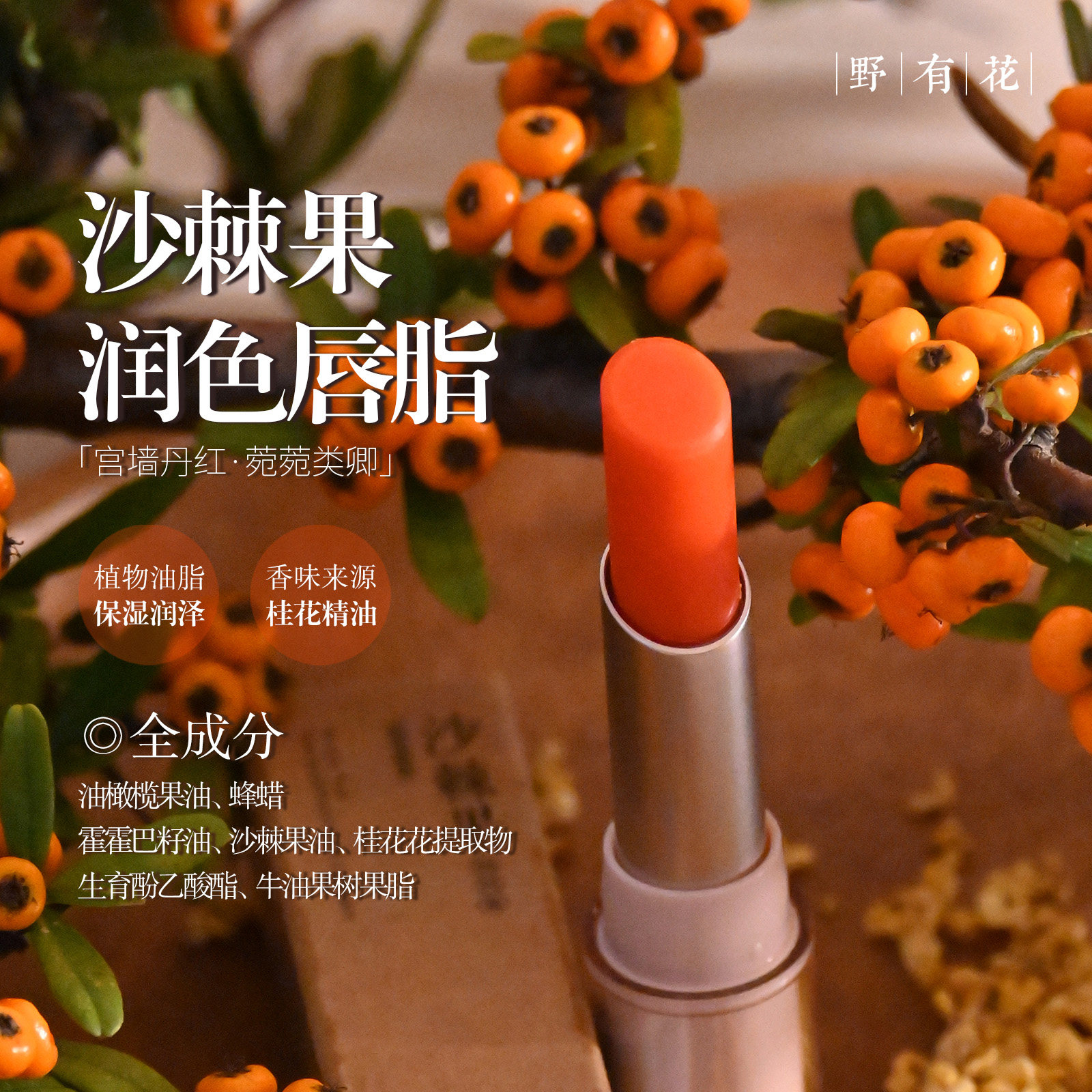 【润色版】提升好气色沙棘果有色润唇膏保湿打底防干燥替代口红,淘宝优惠券,粉丝福利购,淘宝优惠卷