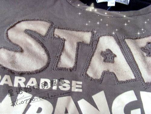 特外贸春秋纯棉儿童男童长袖短袖卫衣T恤加肥厚毛圈3-5岁2298 - 图2