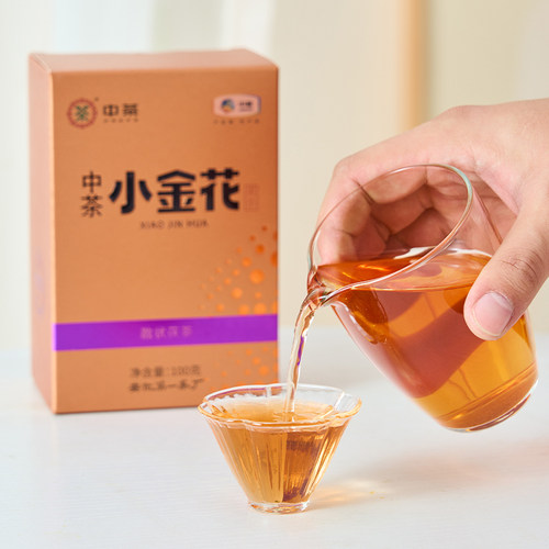 中茶安化黑茶湖南茶叶独立小袋装茶特级茶叶散茶小金花茯茶礼盒 - 图0
