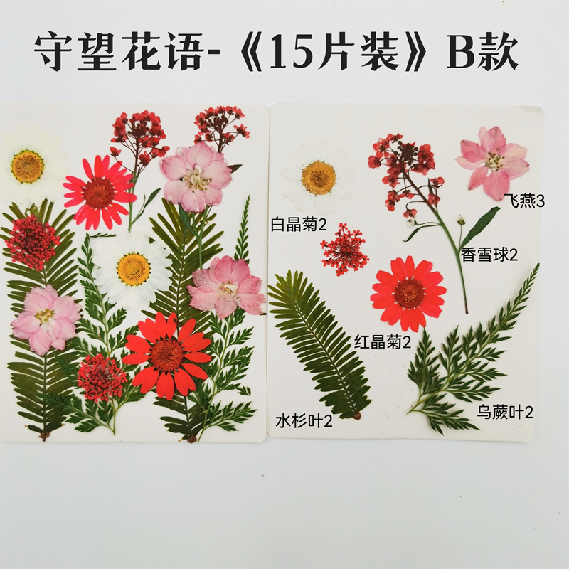 DIY押花混合干花树叶包亲子手工滴胶干花材料包压花真花植物标本 - 图3