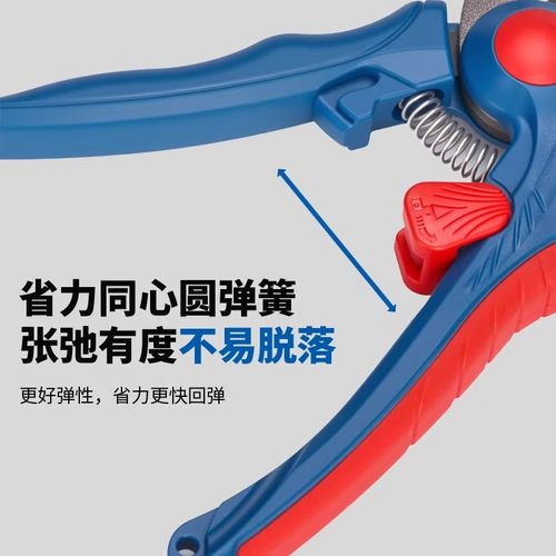 剪枝剪刀果树省力家用花卉修枝强力剪树枝果园园艺粗枝剪刀修枝剪 - 图2