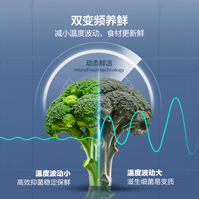 政府换新补贴海尔统帅538L对开双开门无霜一级变频大容量家用冰箱