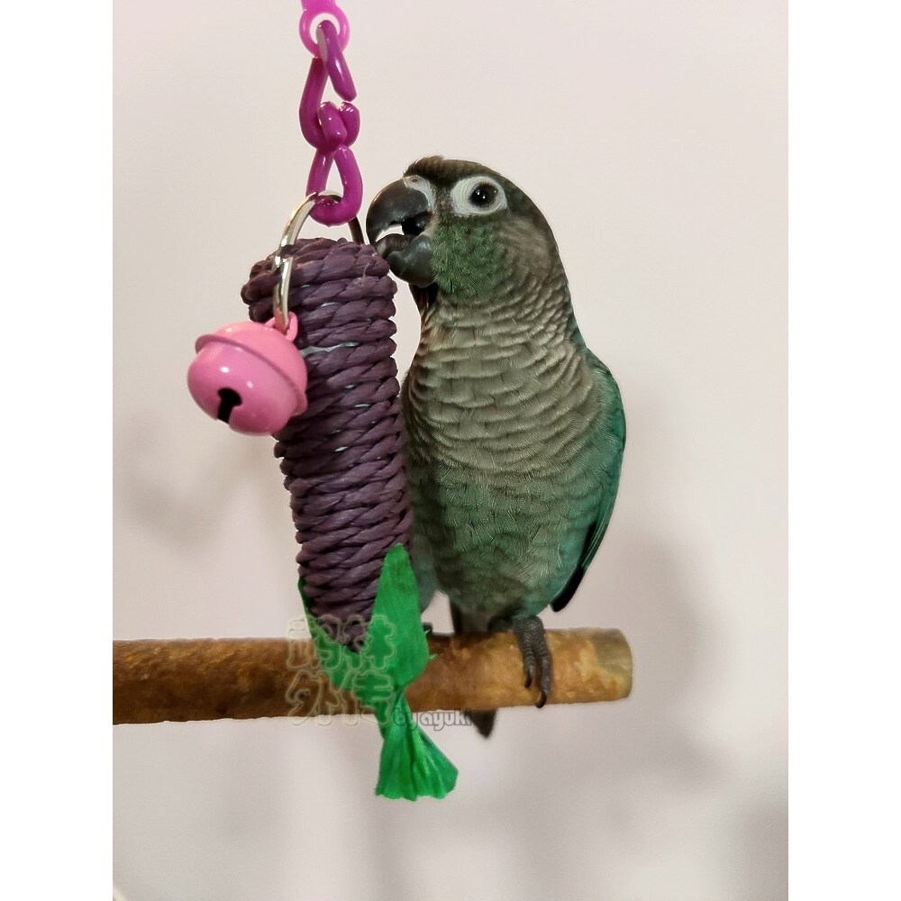 店主推荐可爱草编胡萝卜玉米铃铛玄凤牡丹小太鹦鹉手抓啃咬玩具,淘宝优惠券,粉丝福利购,淘宝优惠卷