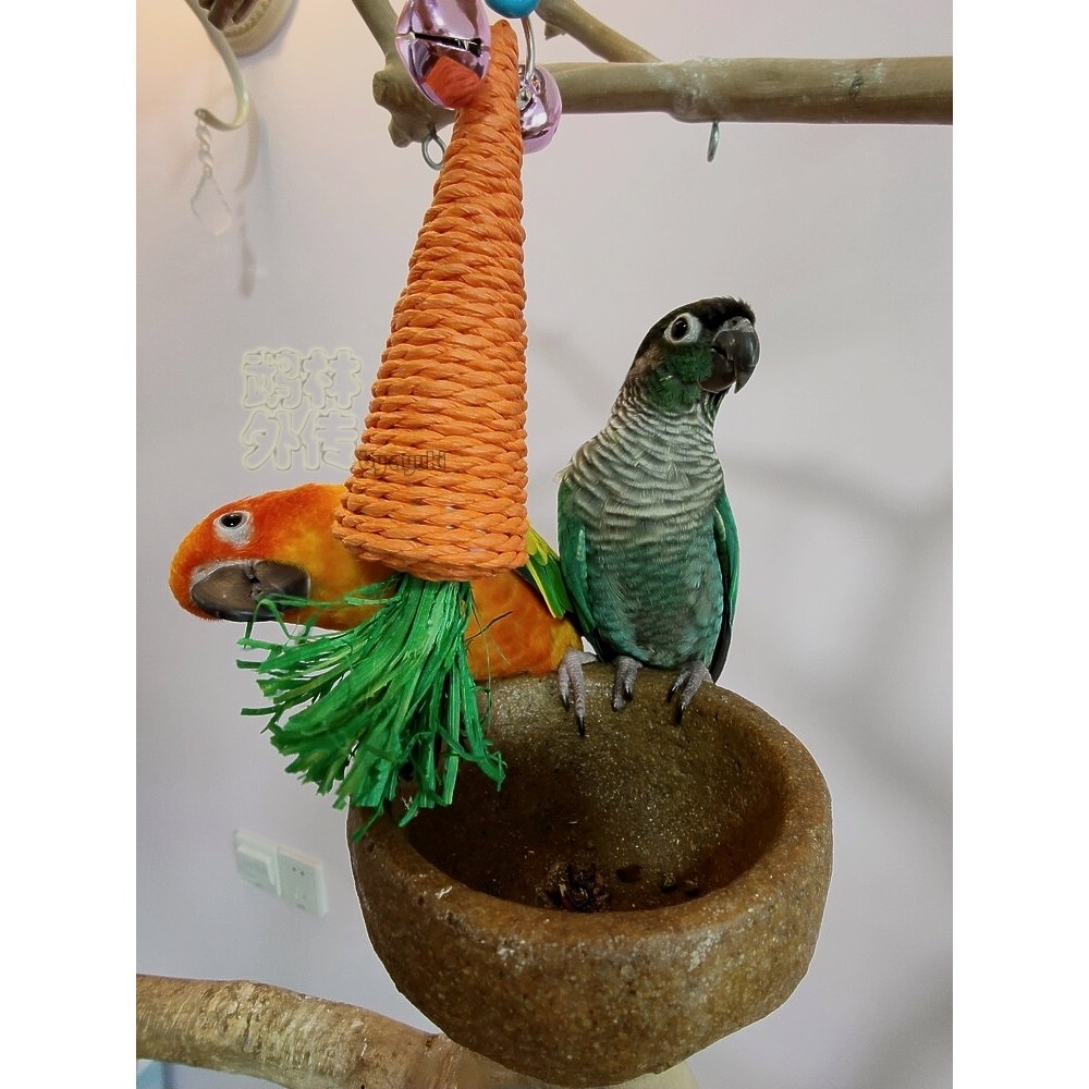 店主推荐可爱草编胡萝卜玉米铃铛玄凤牡丹小太鹦鹉手抓啃咬玩具,淘宝优惠券,粉丝福利购,淘宝优惠卷