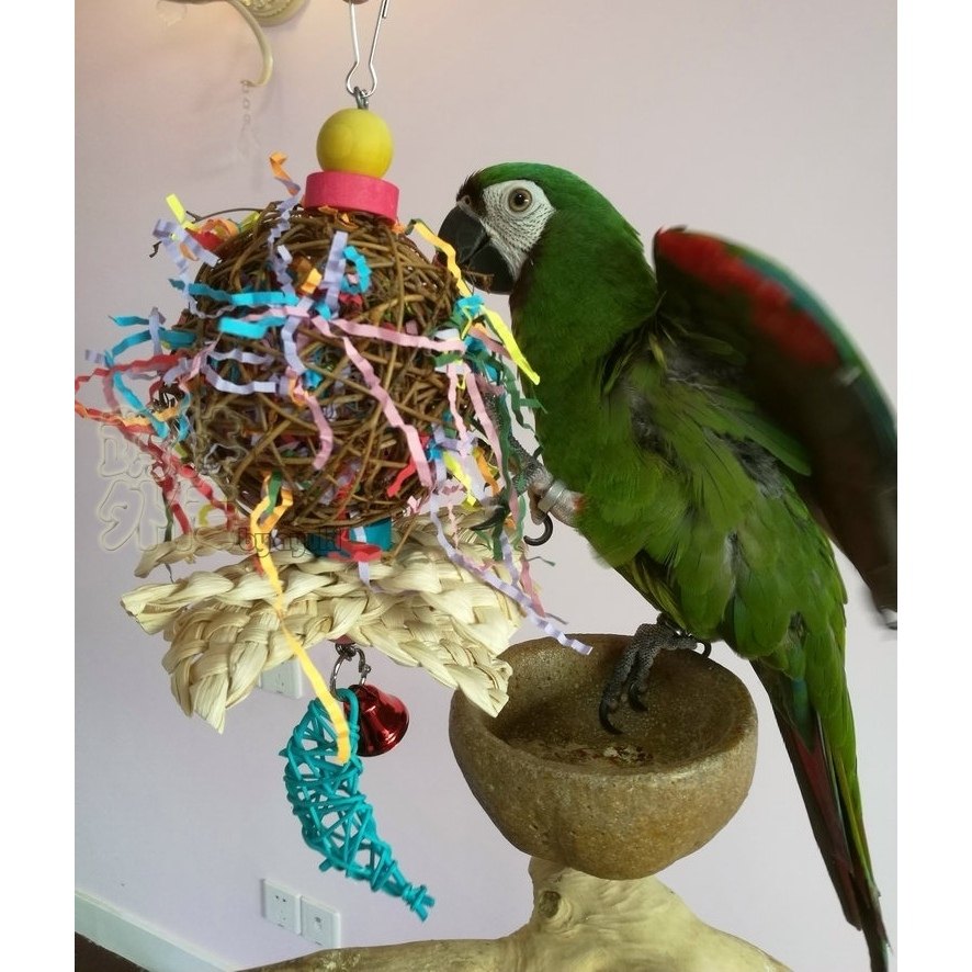 中小型鹦鹉啃咬破坏类玩具缤纷大章鱼彩球玄凤牡丹鹦鹉磨嘴鸟用品,淘宝优惠券,粉丝福利购,淘宝优惠卷