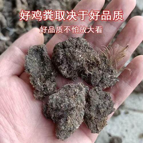 纯干鸡粪农家通用瓜果蔬菜农家天然农家鸡屎种菜家用干鸡粪粪干 - 图1