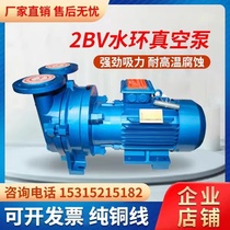 2BV water ring vacuum pump for industrial high vacuum compressor water cycle extraction without oil explosion proof negative pressure pump