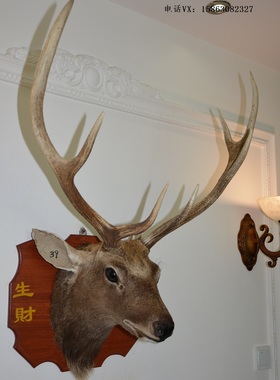 欧美玄关客厅生财有鹿挂件