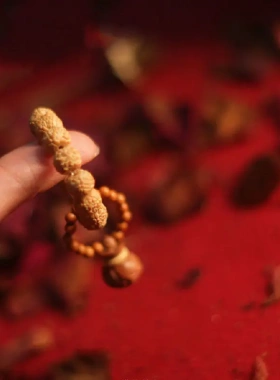 天然龙鳞纹小金刚小手捻指尖文玩橄榄核跑环绕指柔