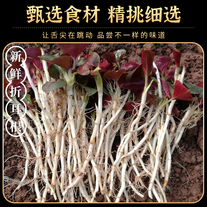 折耳根贵州剁椒凉拌泡菜特产新鲜农家下饭菜四川即食糟辣椒鱼腥草-图2