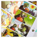 10 copies of Plants vs. Zombies auspicious comic comic, ice and snow competition, fiery basketball game, crazy rugby star game, stand-in student competition
