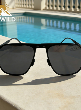 DAYWILD折叠太阳眼镜可配度数