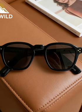 DAYWILD新款太阳眼镜偏光墨镜