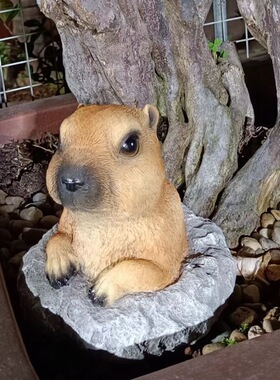 户外花园装饰庭院阳台布置花盆院子园艺装饰仿真动土拨鼠可爱摆件