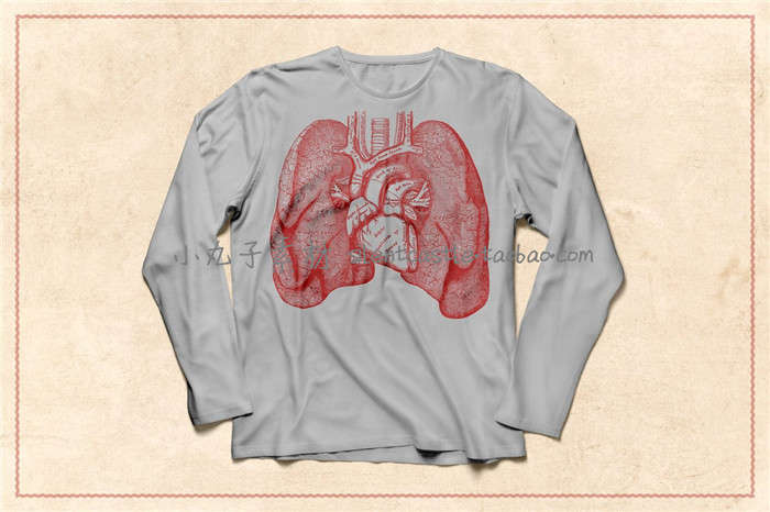 A0114矢量AI设计素材 复古手绘人体解剖图骨骼骨架内脏大脑+png - 图3