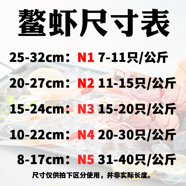 进口新西兰鳌虾 scampi斯干比小龙虾南极深海虾螯虾 1号 2号 3号-图0